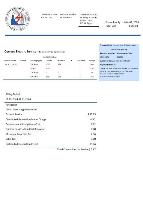Egypt Egyptian Electricity business utility bill template in Word and pdf formats